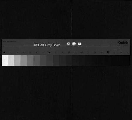 浙江胡氏族谱-[胡氏]黄冈村志[1册].pdf电子版缩略图