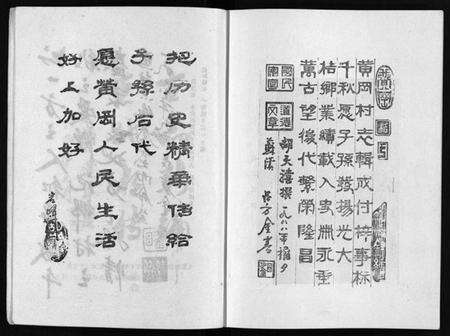 浙江胡氏族谱-[胡氏]黄冈村志[1册].pdf电子版预览图5