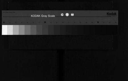 浙江胡氏族谱-胡氏宗谱 [5卷,末1卷].pdf电子版缩略图