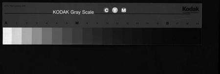 浙江胡氏族谱-胡氏宗谱 [5卷].pdf电子版缩略图
