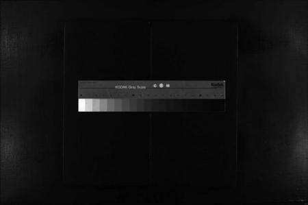 浙江胡氏族谱-胡氏宗谱 [不分卷].pdf电子版缩略图