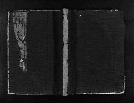 浙江胡氏族谱-胡氏宗谱 [不分卷].pdf电子版预览图1