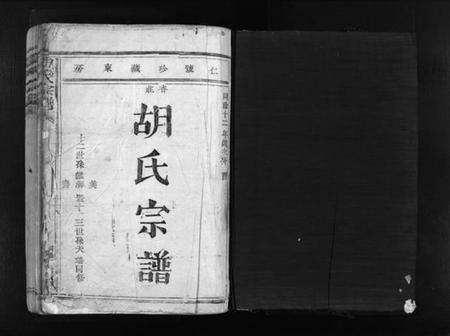 浙江胡氏族谱-胡氏宗谱 [不分卷].pdf电子版预览图2