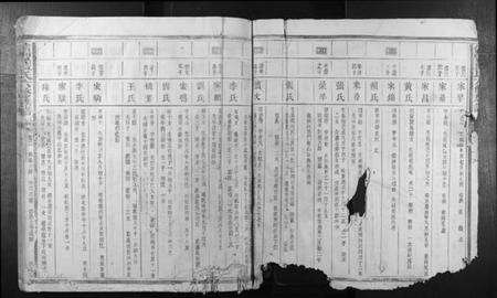 江西蓝氏族谱-信丰蓝氏六修族谱.pdf电子版预览图4