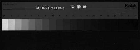 浙江李氏族谱-舘头李氏宗谱[31卷,首1卷].pdf电子版缩略图
