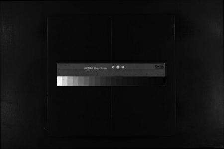 浙江蔡氏族谱-芙川蔡氏宗谱[2册].pdf电子版缩略图