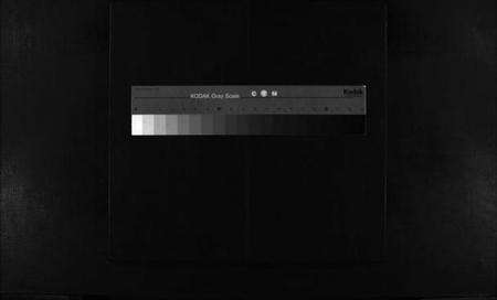 浙江严氏族谱-芙蓉严氏总谱 [不分卷].pdf电子版缩略图