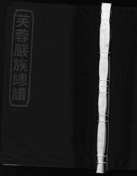 浙江严氏族谱-芙蓉严氏总谱 [不分卷].pdf电子版预览图1