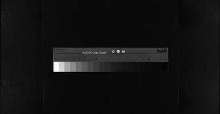 浙江林氏族谱-芙蓉林氏宗谱[11卷, 首1卷].pdf电子版缩略图