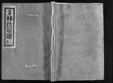 浙江林氏族谱-芙蓉林氏宗谱[11卷, 首1卷].pdf电子版预览图1