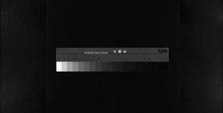 浙江林氏族谱-芙蓉林氏宗谱[总卷数不详].pdf电子版缩略图