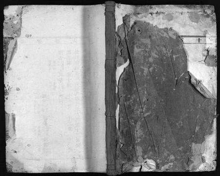 浙江林氏族谱-芙蓉林氏宗谱[总卷数不详].pdf电子版预览图1