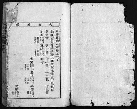 浙江林氏族谱-芙蓉林氏宗谱[总卷数不详].pdf电子版预览图2