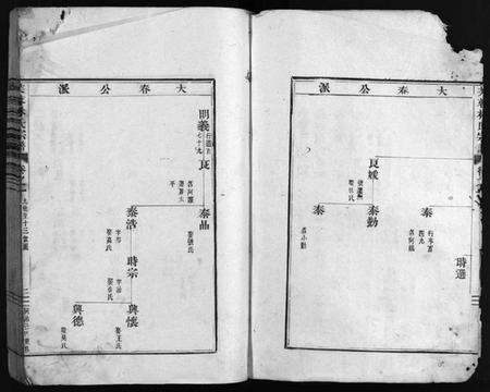 浙江林氏族谱-芙蓉林氏宗谱[总卷数不详].pdf电子版预览图3