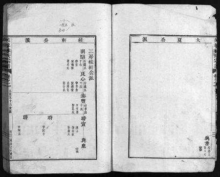 浙江林氏族谱-芙蓉林氏宗谱[总卷数不详].pdf电子版预览图5