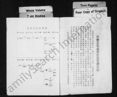 浙江应氏族谱-芝英应氏宗谱.pdf电子版预览图2