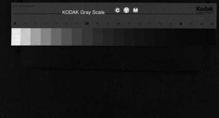 浙江徐氏族谱-花园徐氏西溪宗谱 [上下卷].pdf电子版缩略图