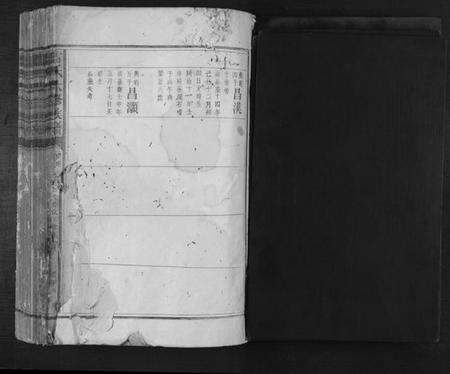 江西雷氏族谱-雷氏六修族谱.pdf电子版预览图1