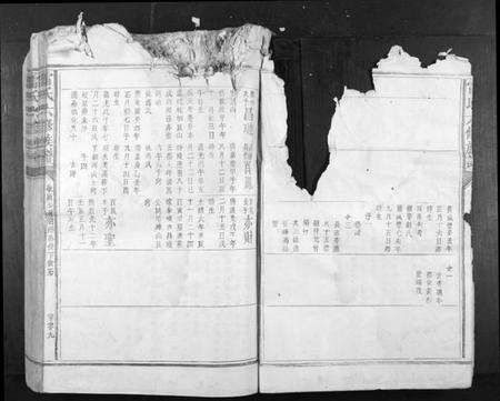 江西雷氏族谱-雷氏六修族谱[不分卷].pdf电子版预览图3