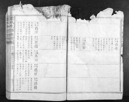 江西雷氏族谱-雷氏六修族谱[不分卷].pdf电子版预览图5