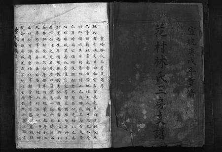 浙江林氏族谱-花村林氏三房支谱[1册].pdf电子版预览图2