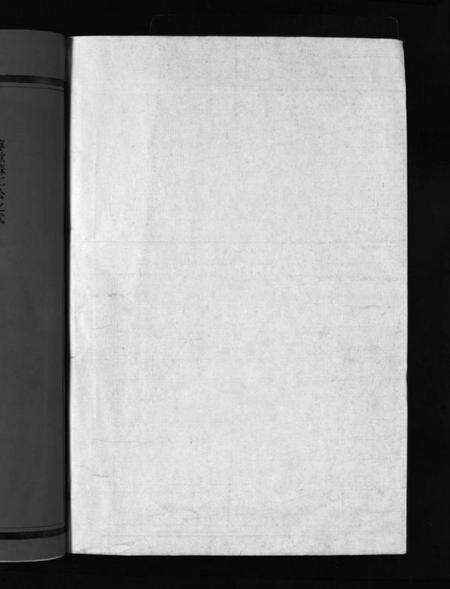 浙江王氏族谱-花浃王氏宗谱 [不分卷].pdf电子版预览图2