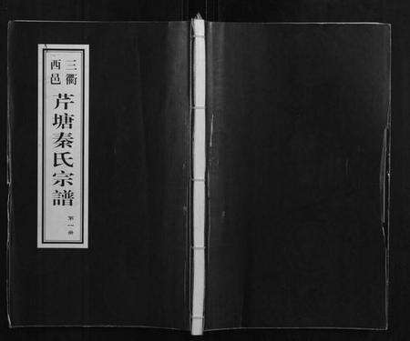 浙江秦氏族谱-芹塘秦氏宗谱.pdf电子版缩略图