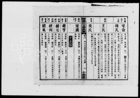 湖南谭氏族谱-谭氏族谱.pdf电子版预览图3