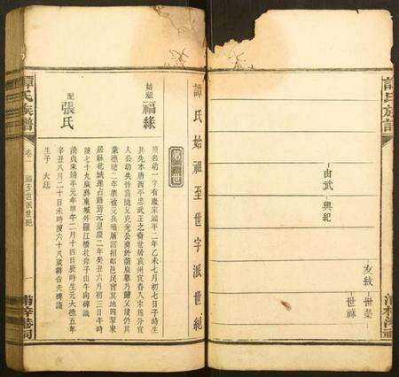 湖南谭氏族谱-谭氏族谱.pdf电子版预览图2