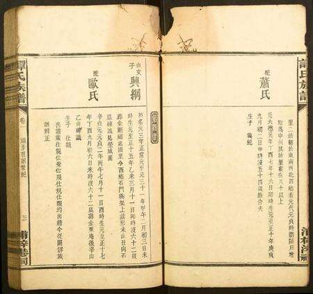 湖南谭氏族谱-谭氏族谱.pdf电子版预览图4