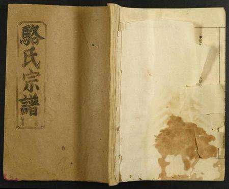 中国骆氏族谱-骆氏十修家谱.pdf电子版缩略图