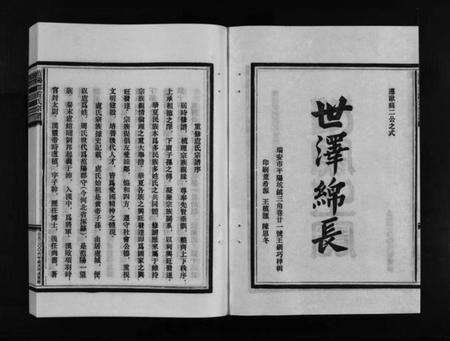 浙江卢氏族谱-范阳郡卢氏宗谱 [8卷].pdf电子版预览图3