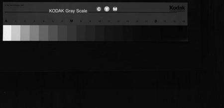 浙江胡氏族谱-茗川胡氏宗谱 [不分卷].pdf电子版缩略图