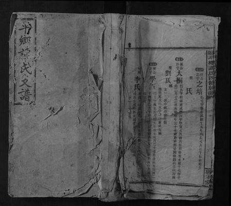 湖南谭氏族谱-邵阳平乡谭氏四修族谱.pdf电子版缩略图