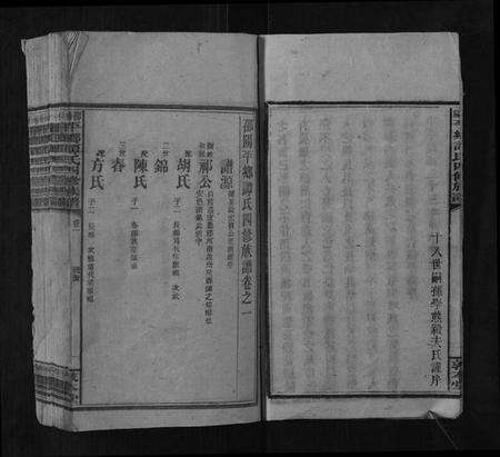 湖南谭氏族谱-邵阳平乡谭氏四修族谱.pdf电子版预览图3