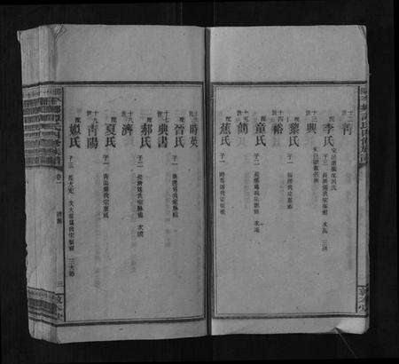 湖南谭氏族谱-邵阳平乡谭氏四修族谱.pdf电子版预览图5