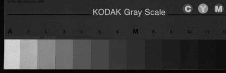 浙江华氏族谱-华氏宗谱 [5卷].pdf电子版缩略图