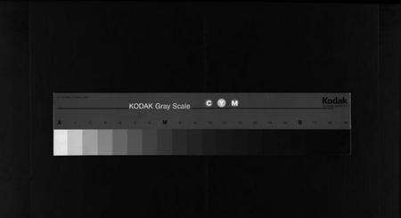 浙江虞氏族谱-华溪虞氏宗谱 [19卷,堪误表1卷].pdf电子版缩略图