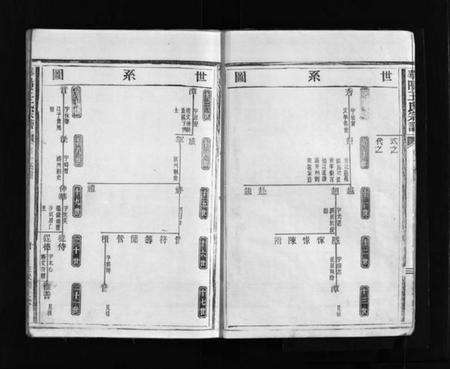 浙江王氏族谱-华阳王氏宗谱 [5卷].pdf电子版预览图5