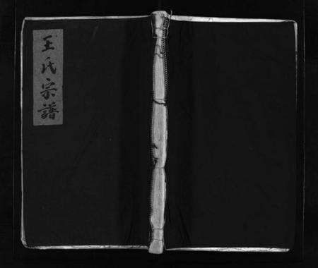 浙江王氏族谱-华阳王氏宗谱 [残卷].pdf电子版预览图1