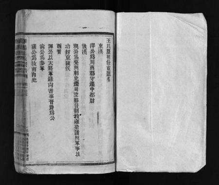 浙江王氏族谱-华阳王氏宗谱 [残卷].pdf电子版预览图2