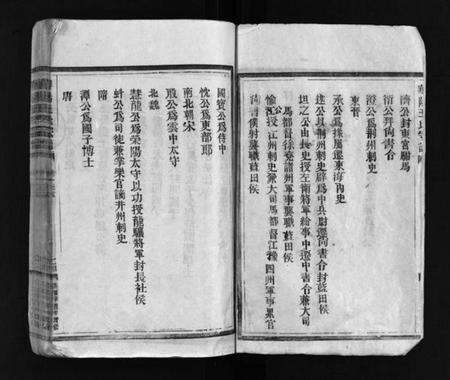 浙江王氏族谱-华阳王氏宗谱 [残卷].pdf电子版预览图3