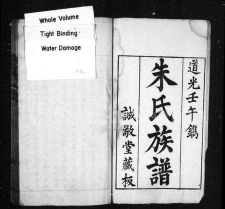 浙江朱氏族谱-菱塘朱氏族谱.pdf电子版预览图1