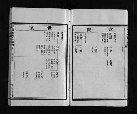 浙江叶氏族谱-叶氏大宗谱 [残卷].pdf电子版预览图5