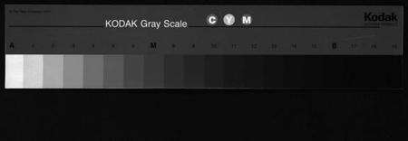 浙江叶氏族谱-叶氏宗谱 [3卷].pdf电子版缩略图