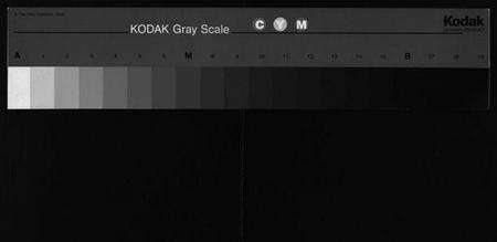 浙江叶氏族谱-叶氏宗谱 [残卷].pdf电子版缩略图