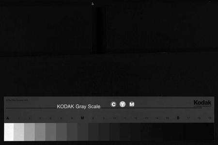 浙江董氏族谱-董氏宗谱 [11卷].pdf电子版缩略图