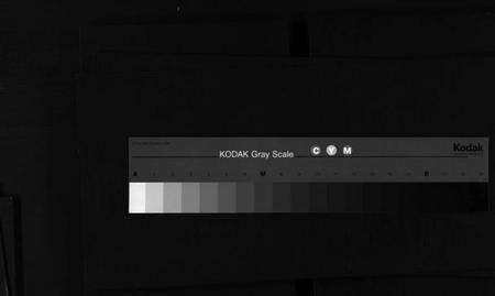 浙江董氏族谱-董氏宗谱 [不分卷].pdf电子版缩略图