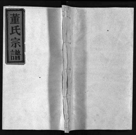 浙江董氏族谱-董氏宗谱 [不分卷].pdf电子版预览图1