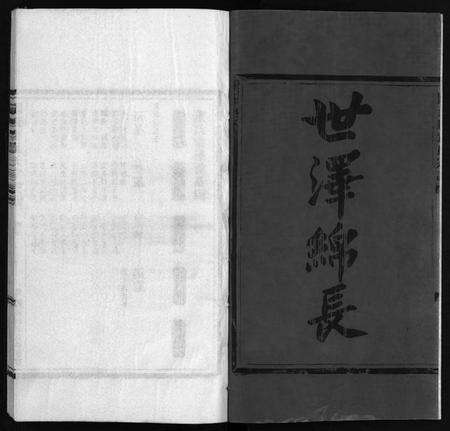 浙江董氏族谱-董氏宗谱 [不分卷].pdf电子版预览图3